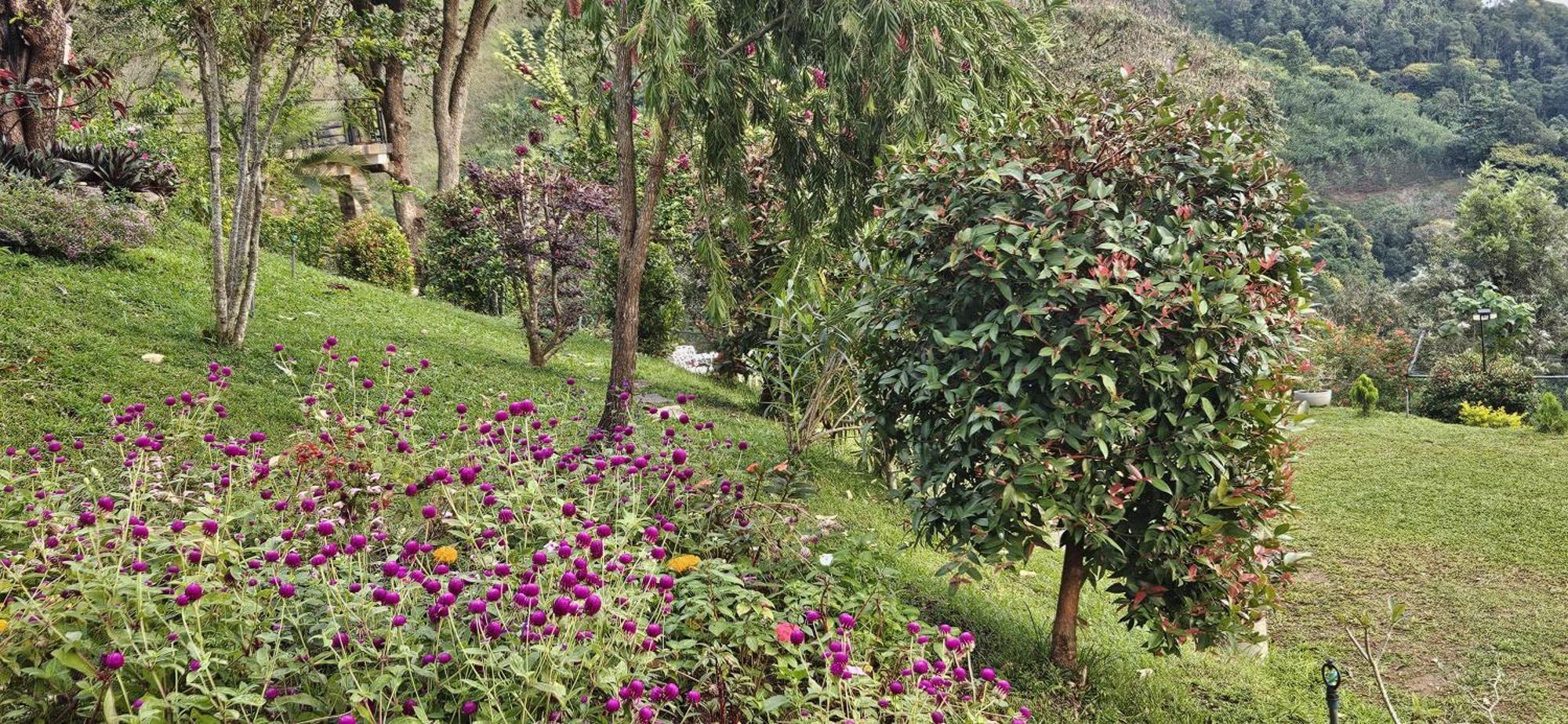 Sithara Estate Bungalow Ella Exterior photo